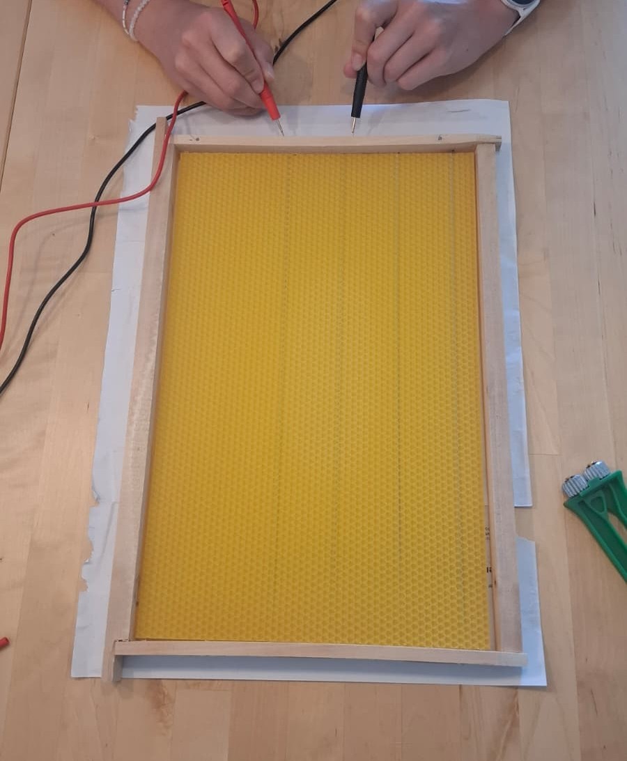 Die vorbereitete Mittelwand – der Anfang einer neuen Wabe.